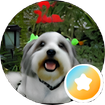 Testimonial: Delta Wilson